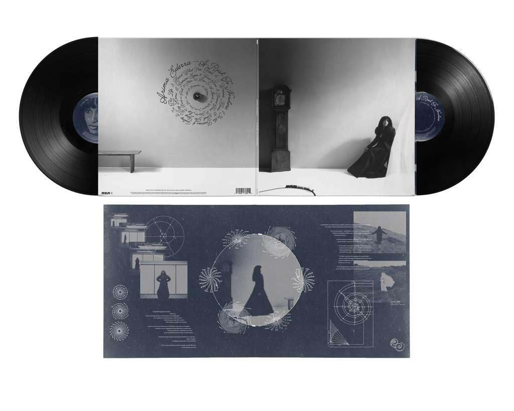 A Rush To Nowhere Vinyl