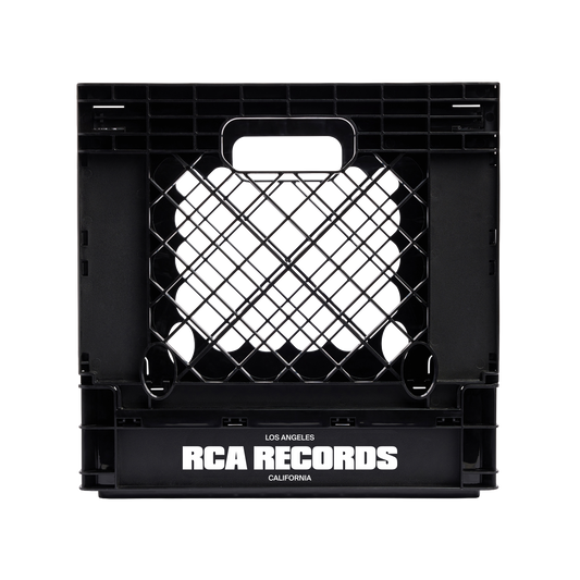 RCA Collapsible Record Crate