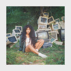 Ctrl Vinyl