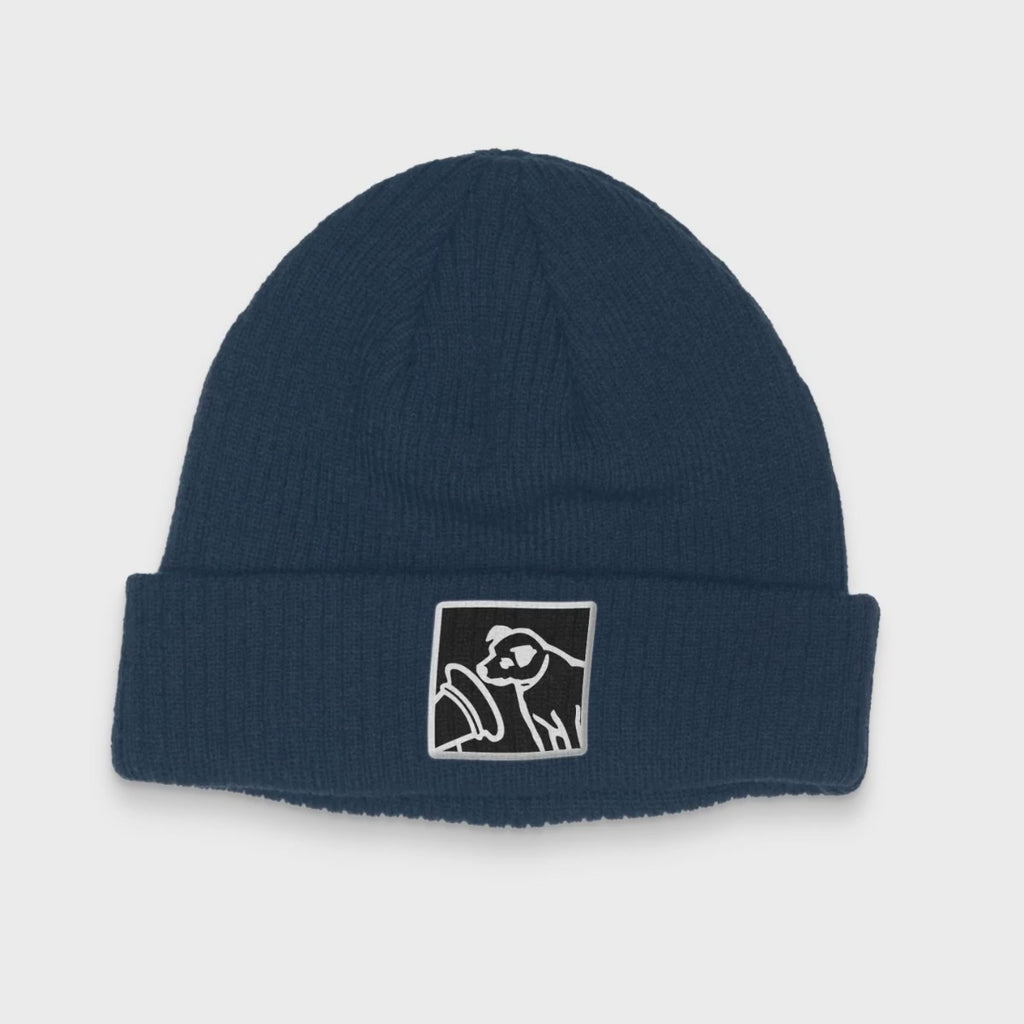 Record Player Beanie (Navy)