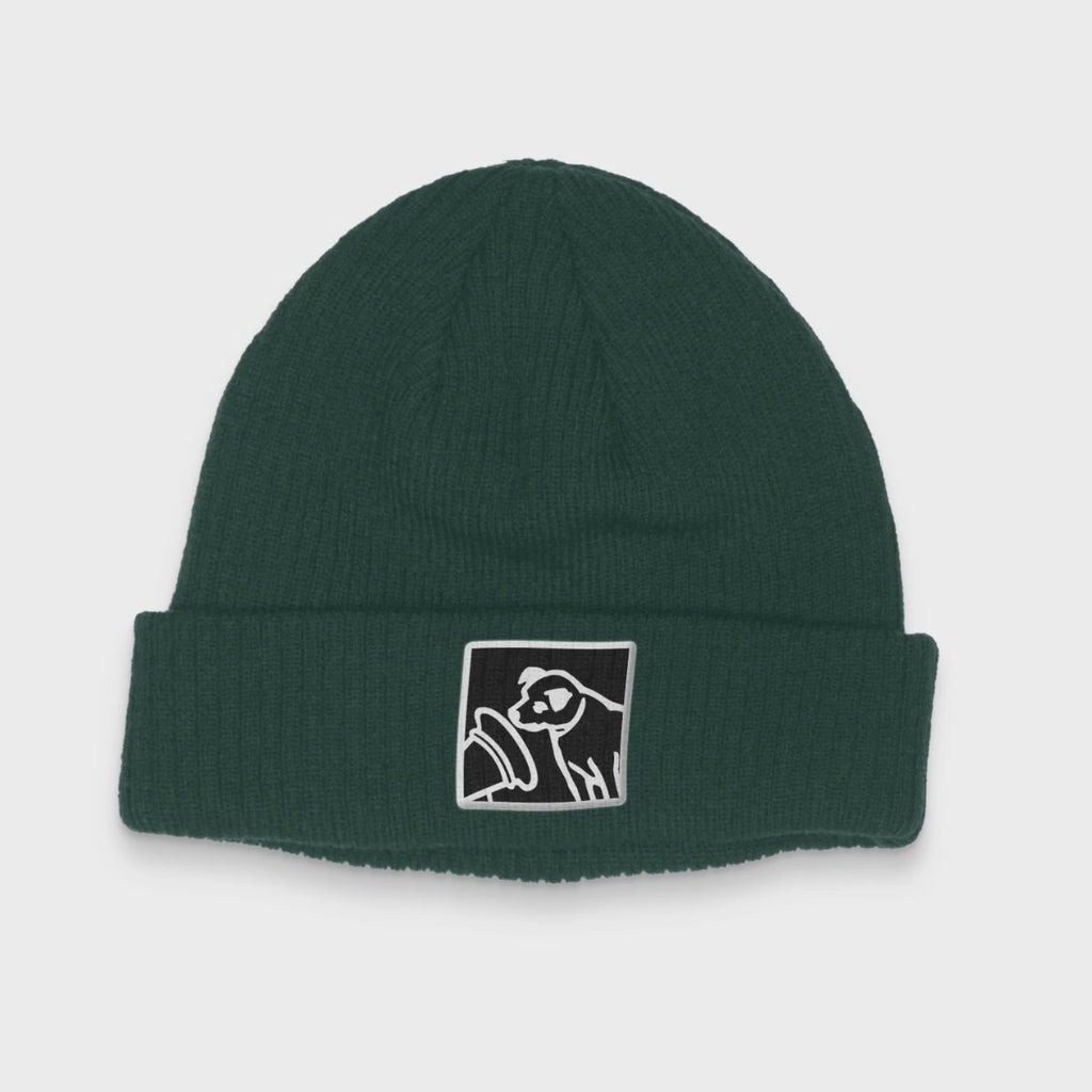 Record Player Beanie (Bottle Green)